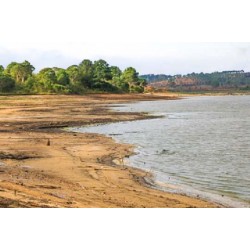 Chuvas de julho ficam muito abaixo da média e reservatórios da RMC chegam a 49,7%